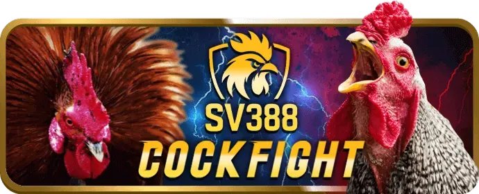 Cá cược bóng đá VN88UP